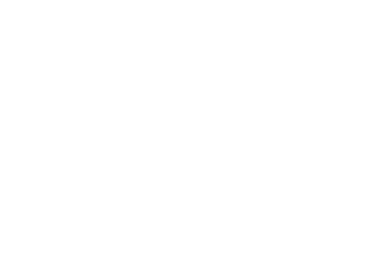 FTF Sports FHD US