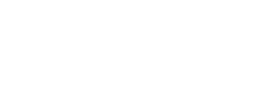 Golden Mx FHD MX