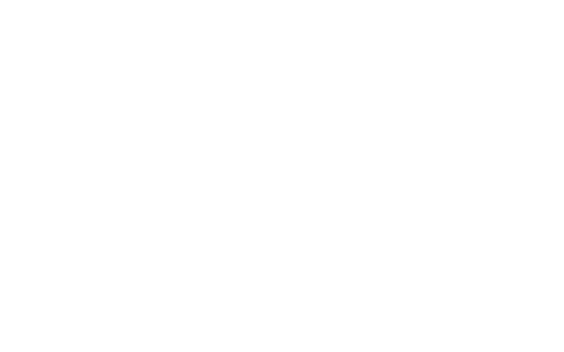 NESN+ HD US