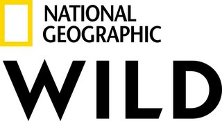 Nat Geo Wild HD BG