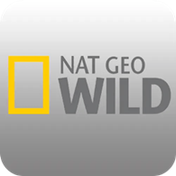 National Geographic FHD BE