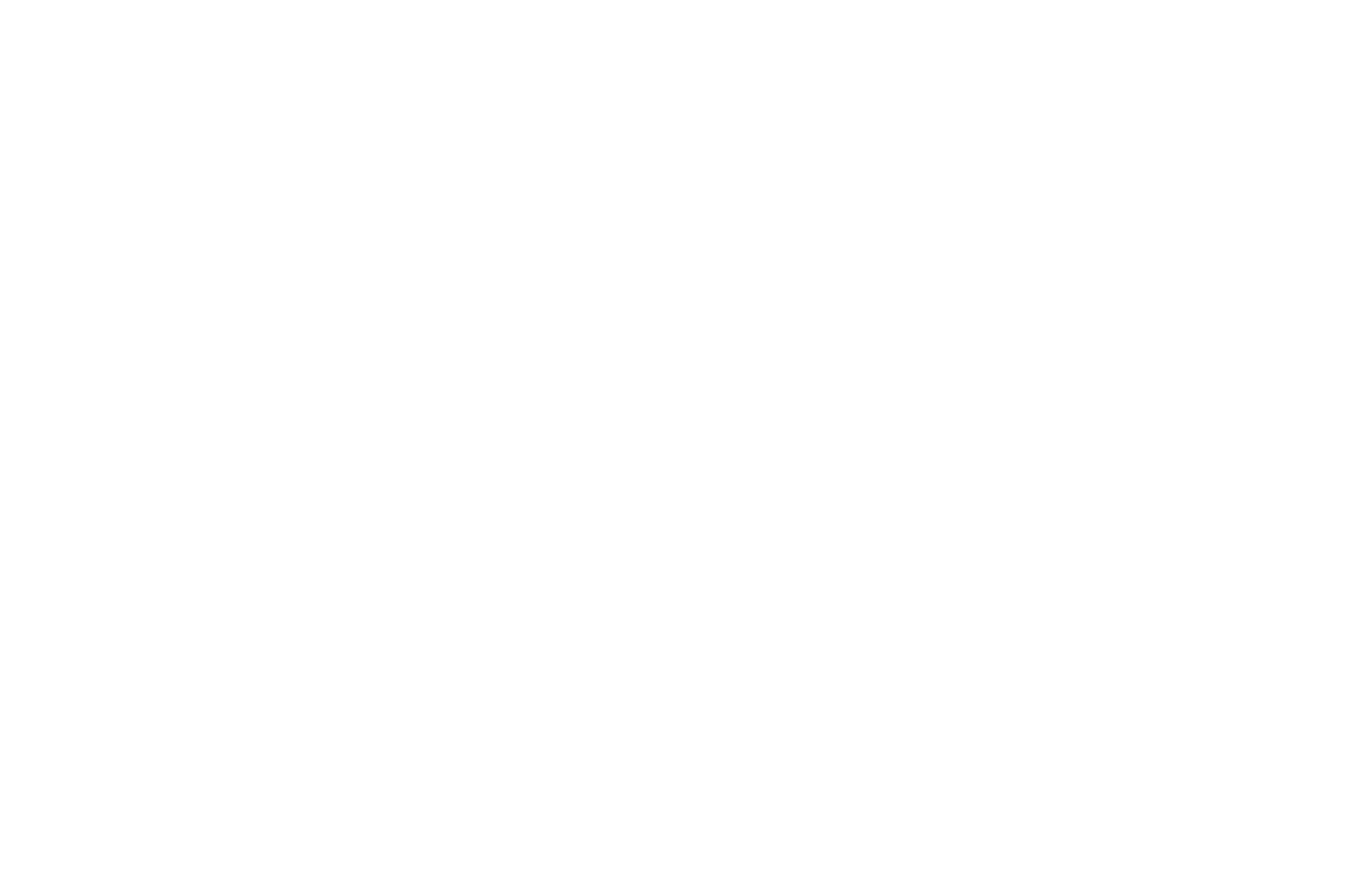 VICE FHD US